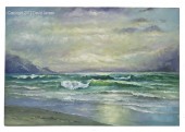 DVD1038 Introduction to Seascapes